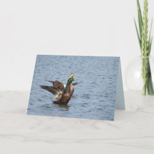 Away Conmigo - Tarjeta De Saludo De Pato Mallard