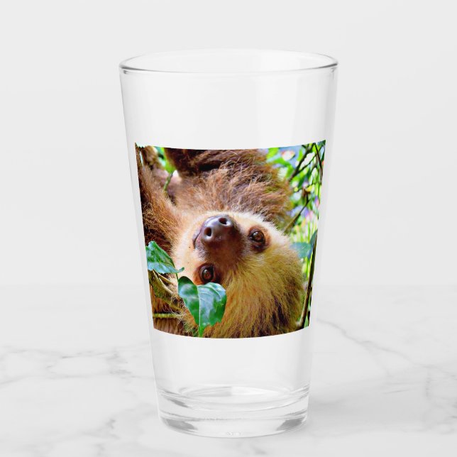 Awesome Sloth (Anverso)