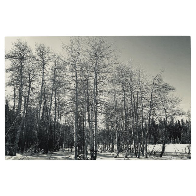 AWorld2Celebrate: El arte natural de Tahoe (Anverso)