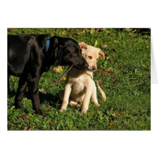 ¿Awww… tengo que compartir?