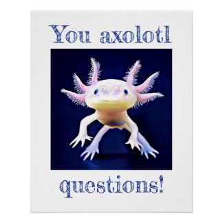Axolotl Salamander Poster anfibio
