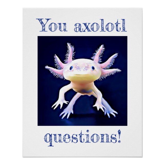 Axolotl Salamander Poster anfibio (Anverso)