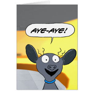 ¡Aye-Aye!