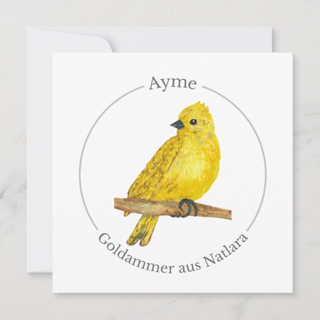 Ayme -  Goldammer aus Natlara (Anverso)