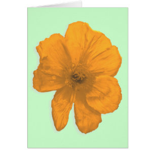 Ayuda naranja/ Flor PopArt