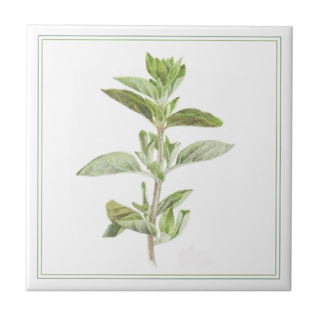 AZAFRÁN FRESCO Baldosa Cerámica de 4,25x4,25 (-tex (Frente)