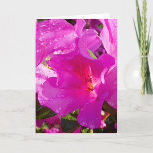 "Azalea 1." Tarjeta mediana