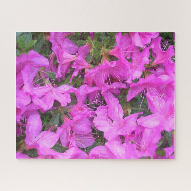 "Azalea Blooms" rompecabezas en Jigsaw (Horizontal)