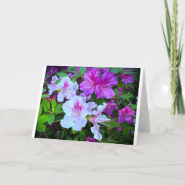 Azalea, tarjeta