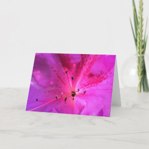 Azalea, tarjeta