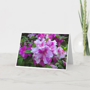 Azalea, tarjeta