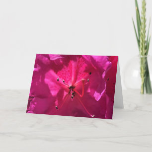 Azalea, tarjeta