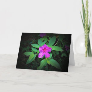 Azalea, tarjeta