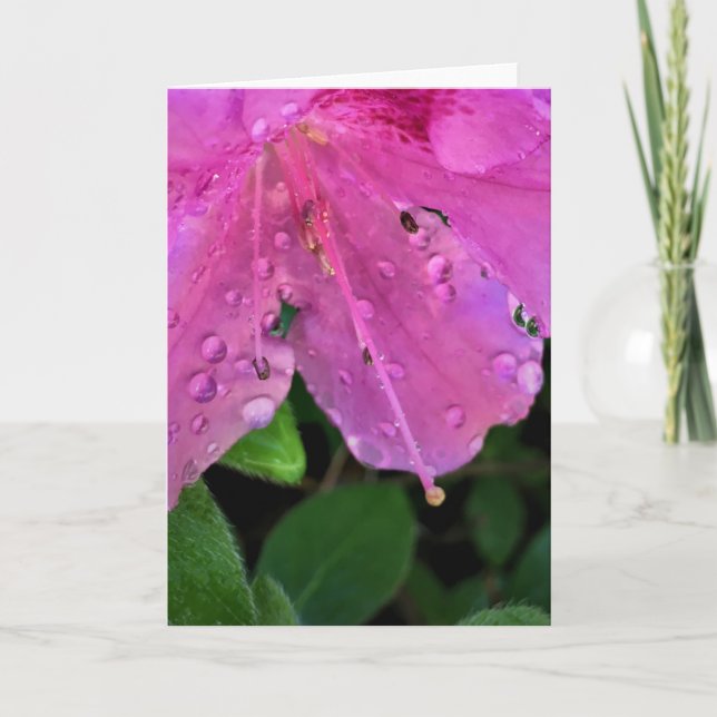 Azalea, tarjeta (Anverso)