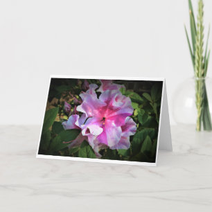 Azalea, tarjeta