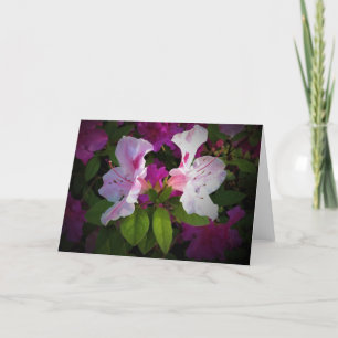 Azalea, tarjeta