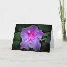 Azalea, tarjeta