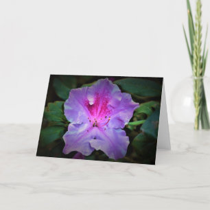 Azalea, tarjeta