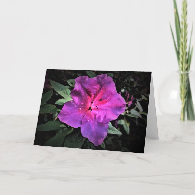Azalea, tarjeta (Anverso)