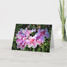 Azalea, tarjeta