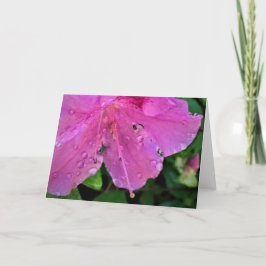 Azalea, tarjeta