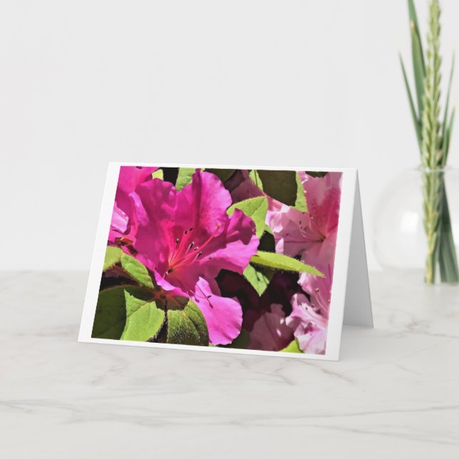 Azalea, tarjeta (Anverso)