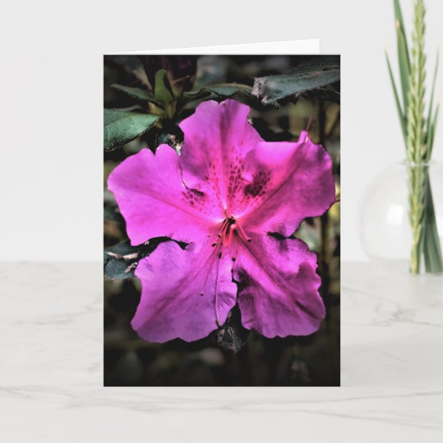 Azalea, tarjeta (Anverso)