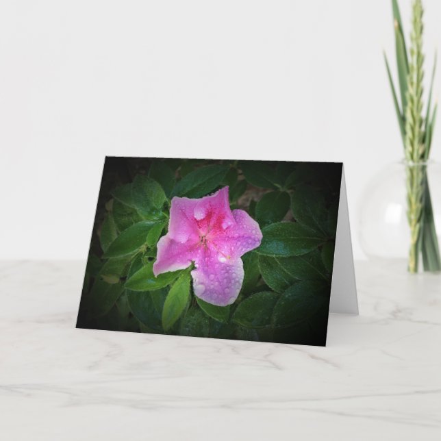 Azalea, tarjeta (Anverso)