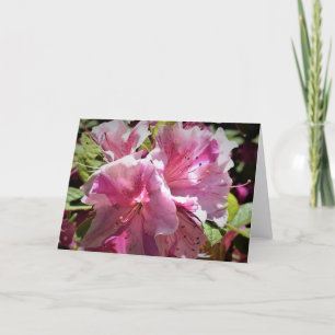 Azalea, tarjeta