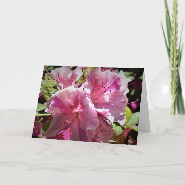 Azalea, tarjeta (Anverso)