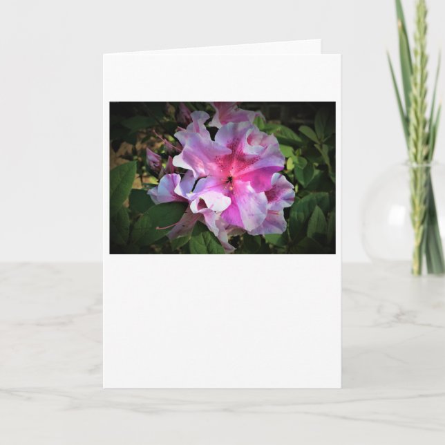 Azalea, tarjeta (Anverso)