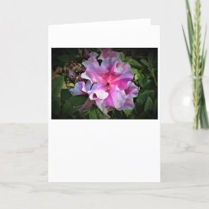 Azalea, tarjeta