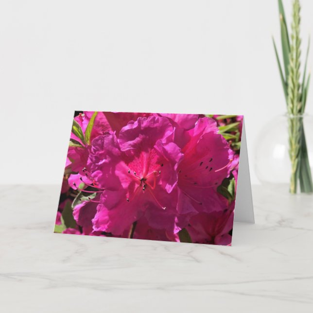 Azalea, tarjeta (Anverso)