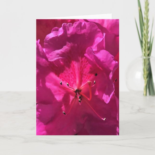 Azalea, tarjeta (Anverso)