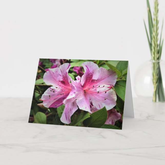 Azalea, tarjeta (Anverso)