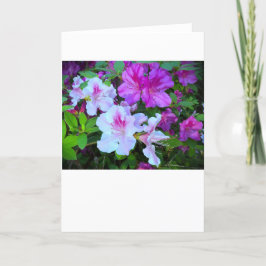 Azalea, tarjeta