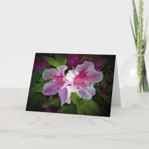 Azalea, tarjeta