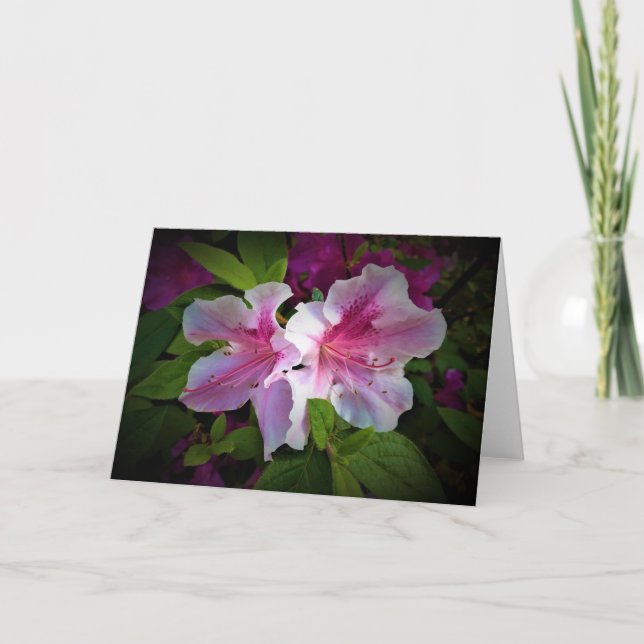 Azalea, tarjeta (Anverso)