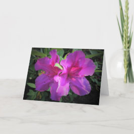 Azalea, tarjeta