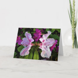 Azalea, tarjeta