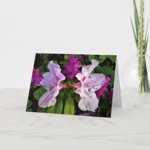 Azalea, tarjeta