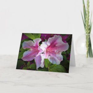 Azalea, tarjeta