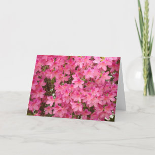 AZALEAS Azalea Flowers GREETING CARDS NOTA DE TARJ
