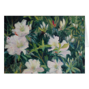 "Azaleas blancas "