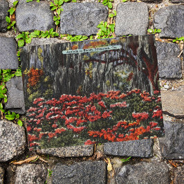 Azaleas en flor en Savannah GA Postales