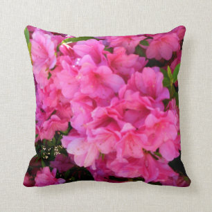 Azaleas rosadas de una almohada meridional del