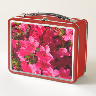 Azaleas rosadas floridas foto caja de almuerzo