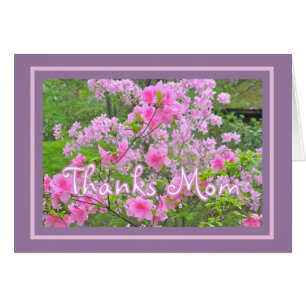 "AZALEAS ROSAS" GRACIAS MAMÁ/FELIZ DÍA DE LA MADRE