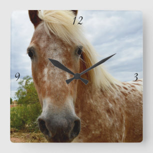 Azúcar El Caballo Appaloosa, Reloj De Pared Cuadra