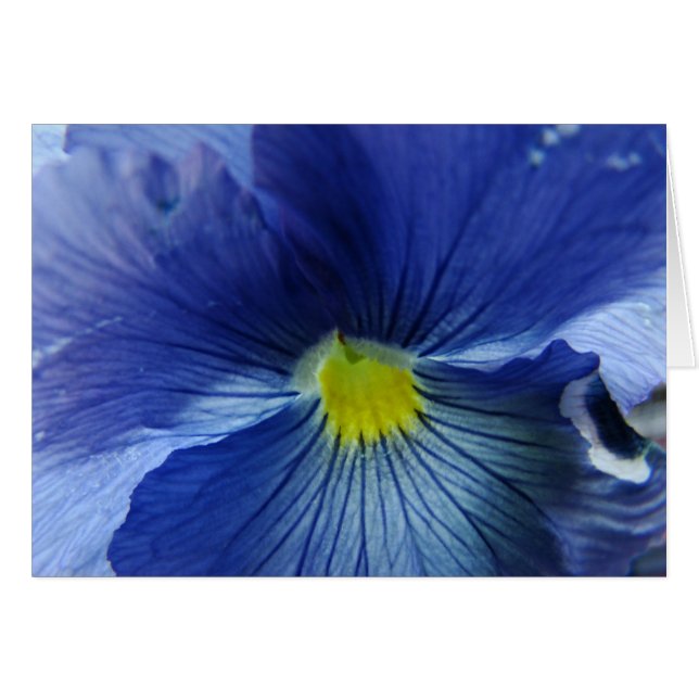 Azul (Anverso (Horizontal))